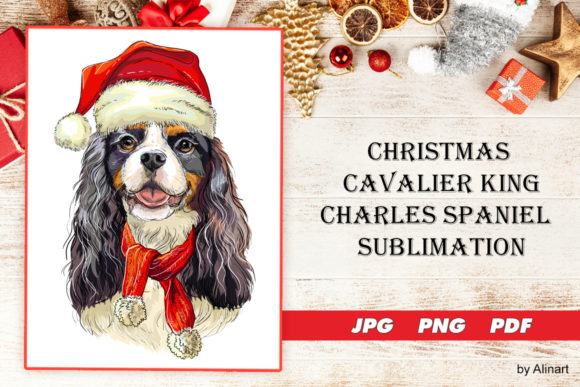 Download Christmas Cavalier King Charles Spaniel - Premium Resources