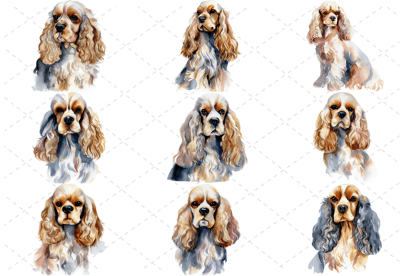 Download 9 Watercolor American Cocker Spaniel Art - Spaniel Collection