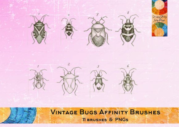 Download Vintage Bug Stamps &amp; Affinity Brush Set - Brush set Collection