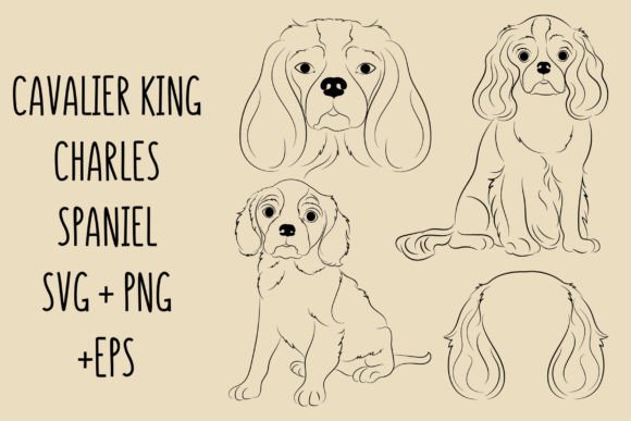 Download King Charles Cavalier Spaniel SVG Bundle - Premium Resources